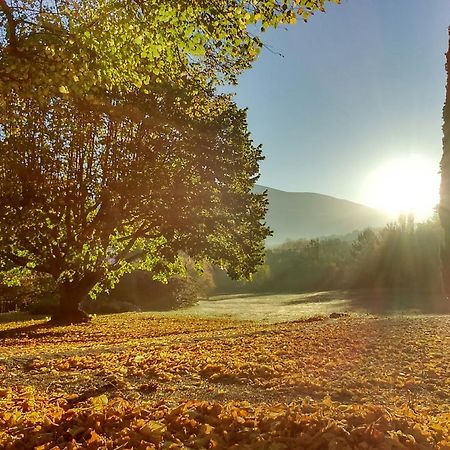 Le Mas De Cocagne En Provence Malaucene Bagian luar foto