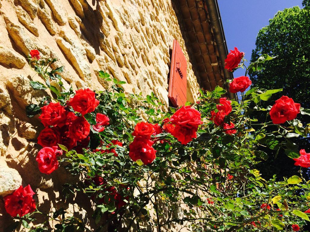 Le Mas De Cocagne En Provence Malaucene Bagian luar foto