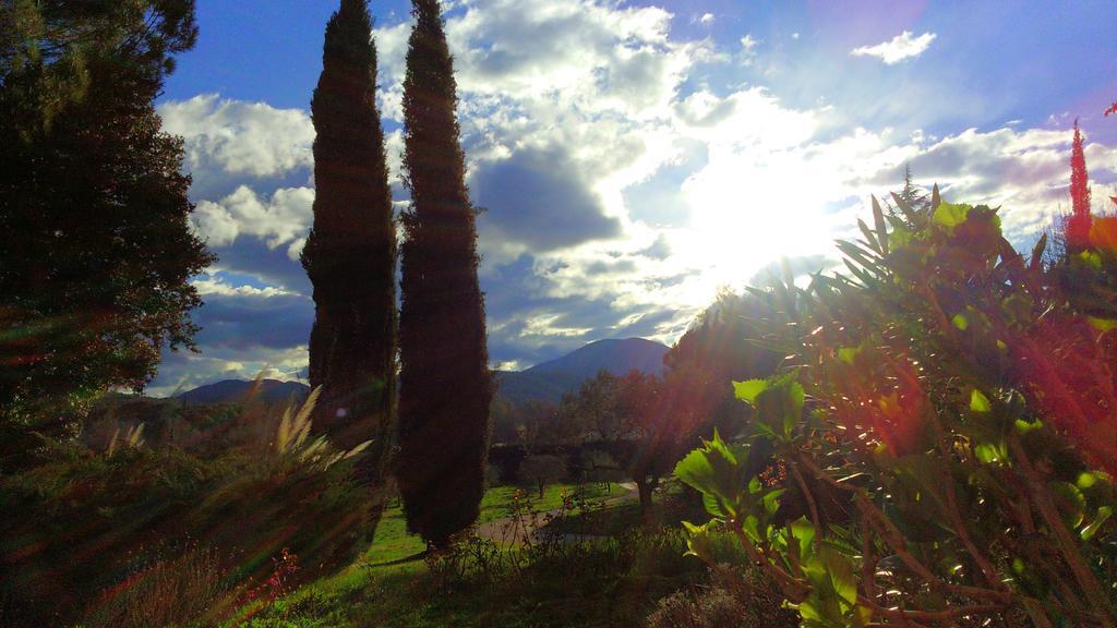 Le Mas De Cocagne En Provence Malaucene Bagian luar foto