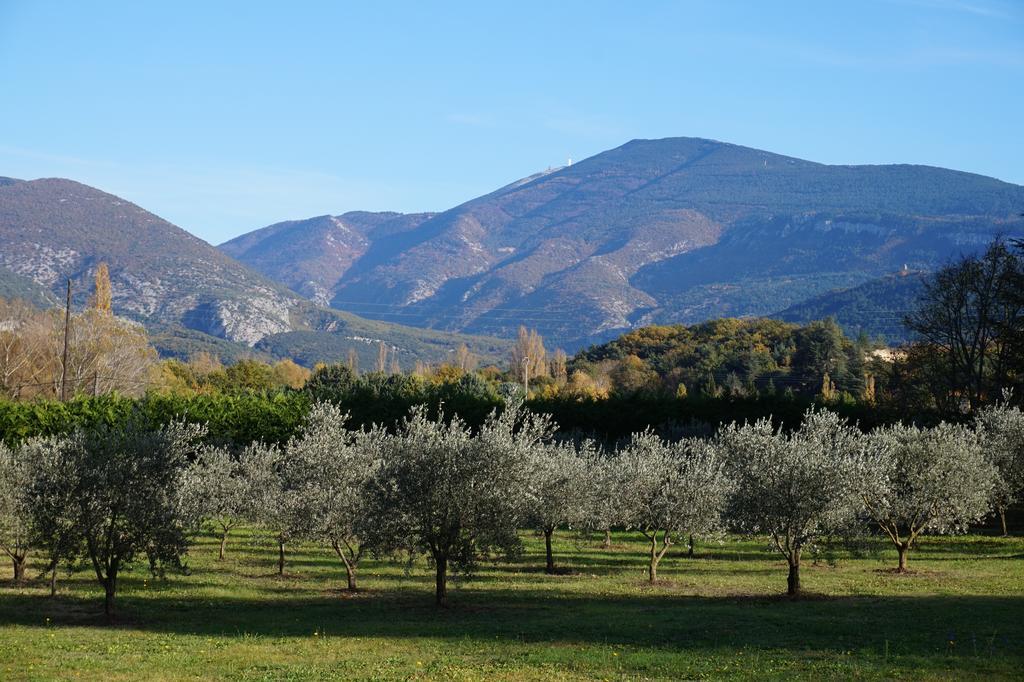 Le Mas De Cocagne En Provence Malaucene Bagian luar foto