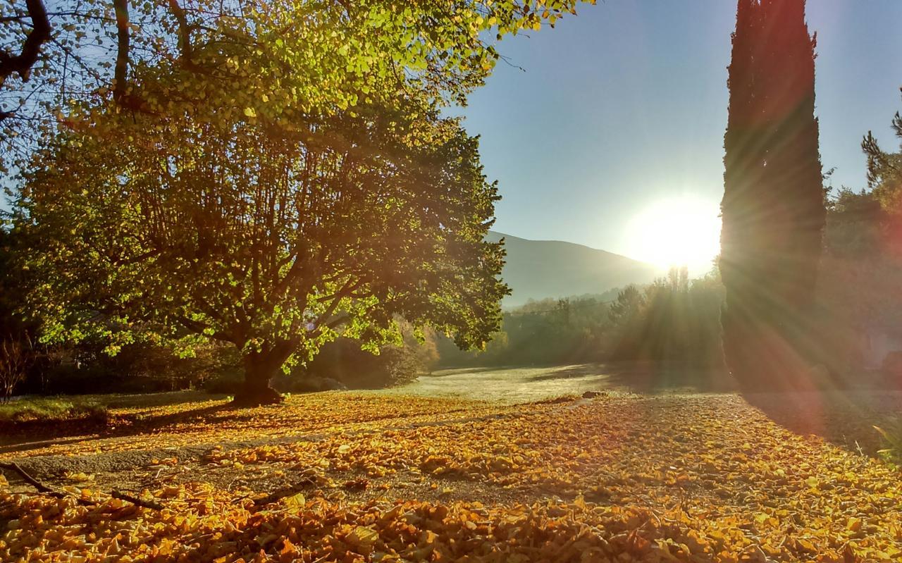 Le Mas De Cocagne En Provence Malaucene Bagian luar foto