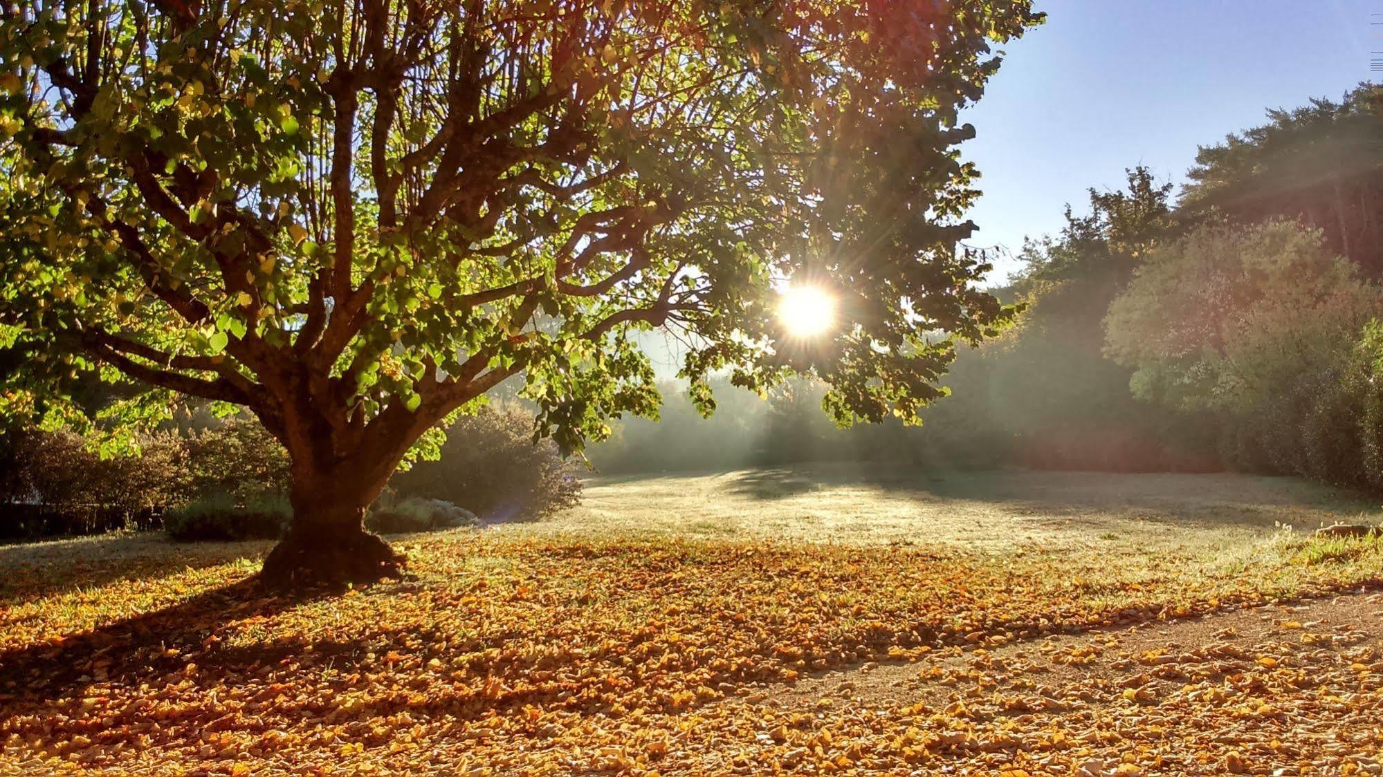 Le Mas De Cocagne En Provence Malaucene Bagian luar foto