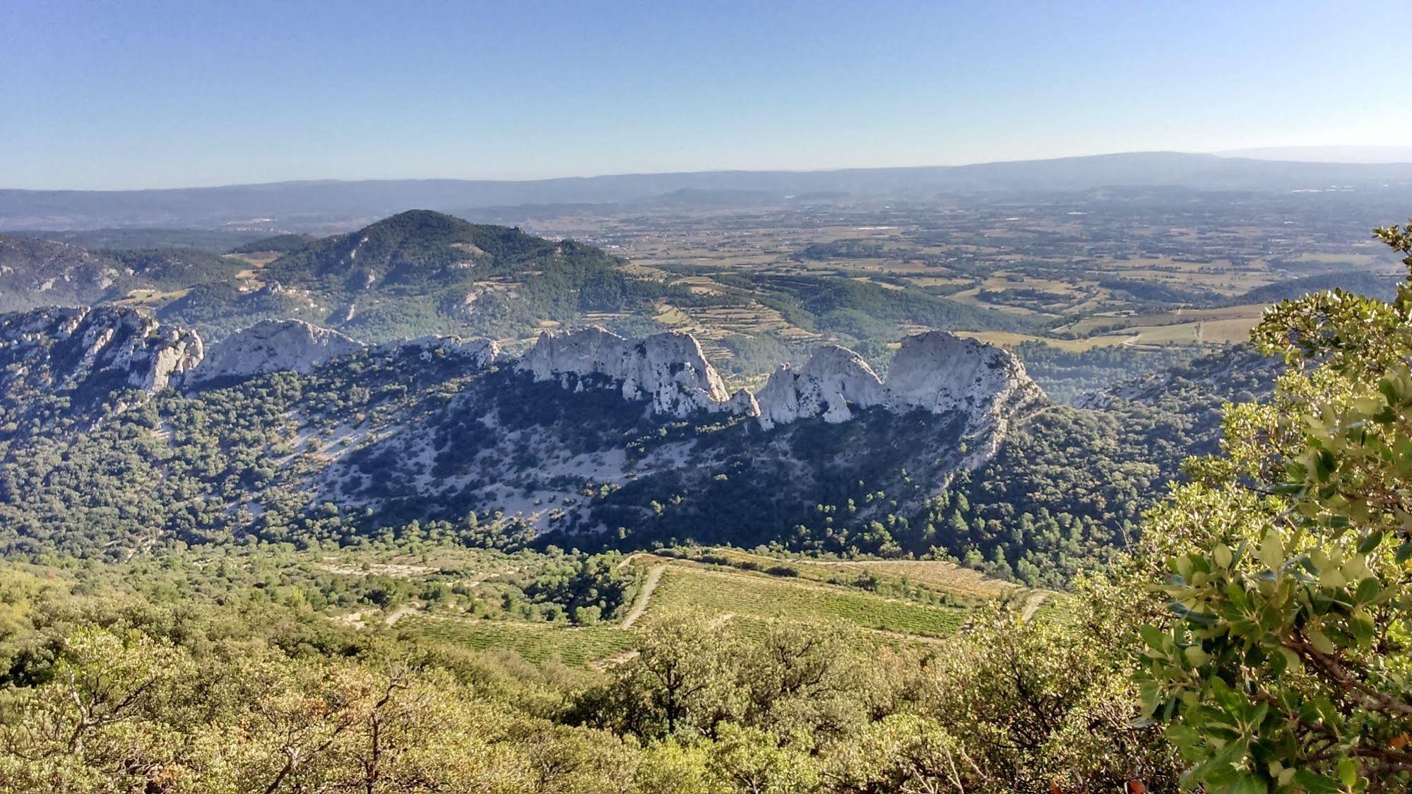 Le Mas De Cocagne En Provence Malaucene Bagian luar foto