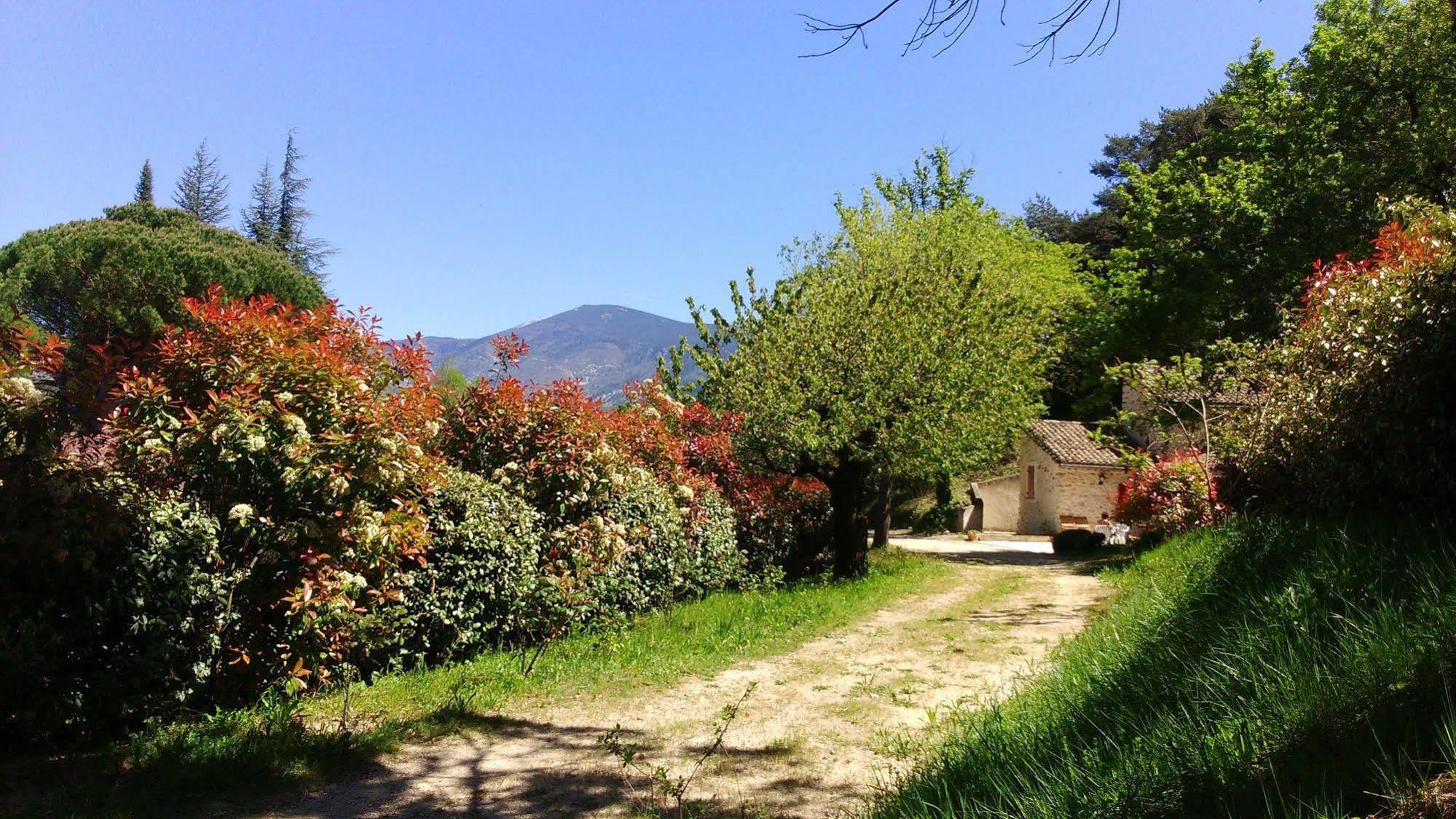 Le Mas De Cocagne En Provence Malaucene Bagian luar foto