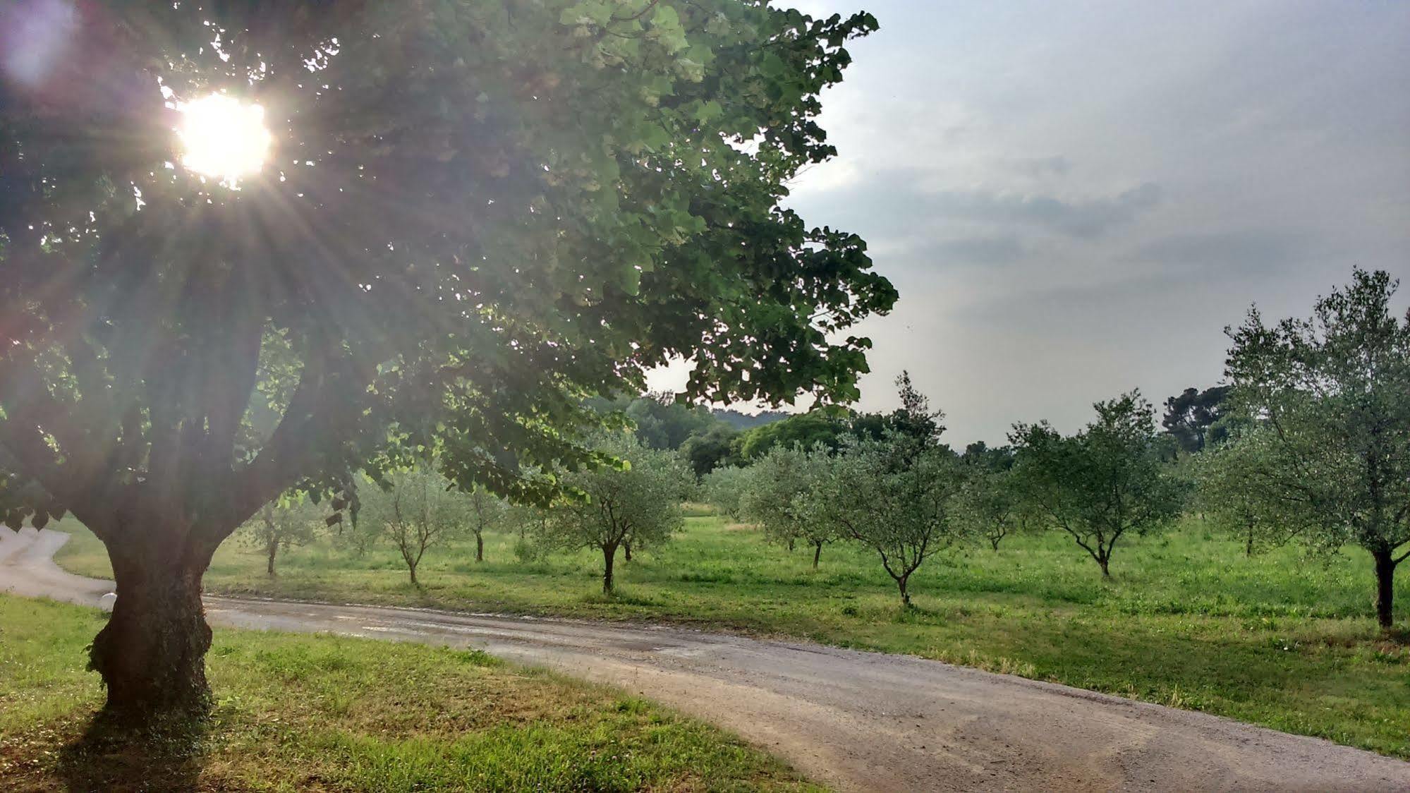 Le Mas De Cocagne En Provence Malaucene Bagian luar foto